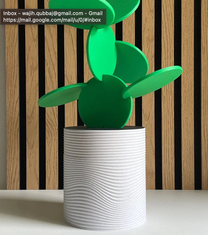 Cactus Coasters – Vase with Removable Coasters
