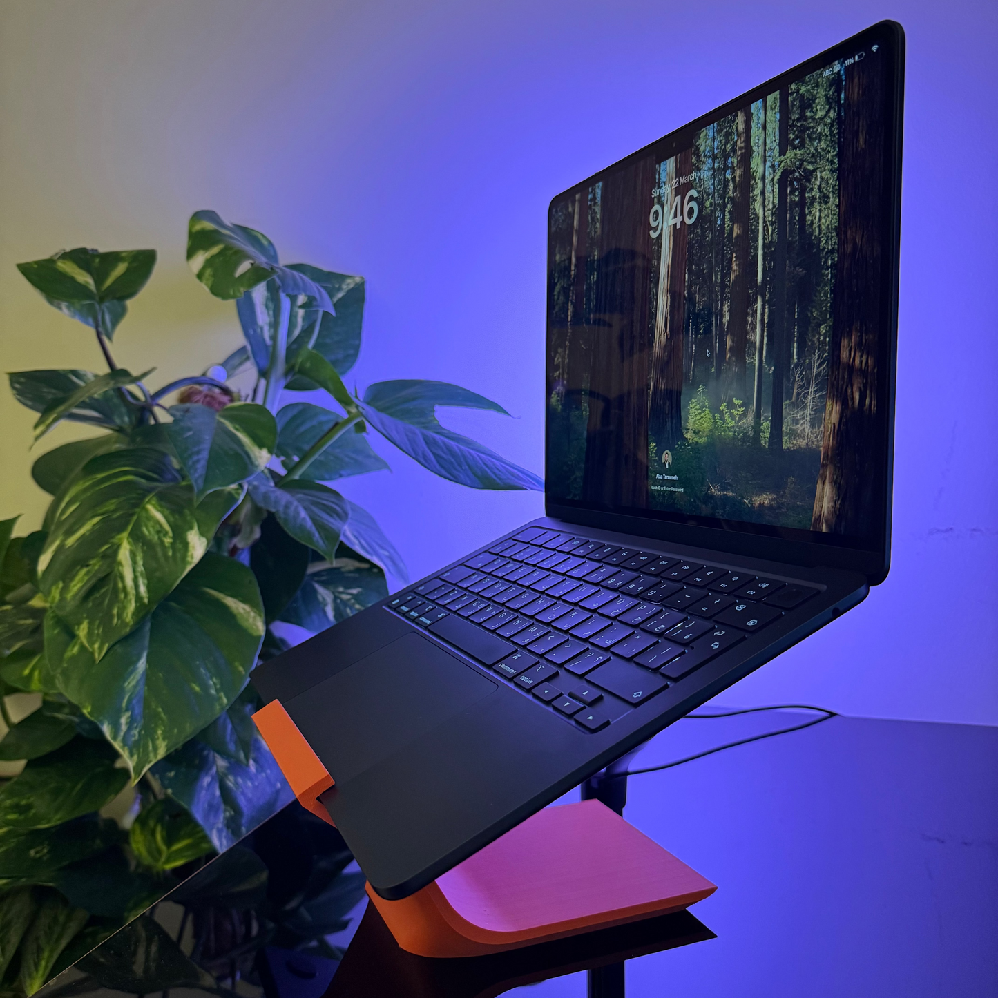 Laptop on a stand with a plant in the background under a blue light
