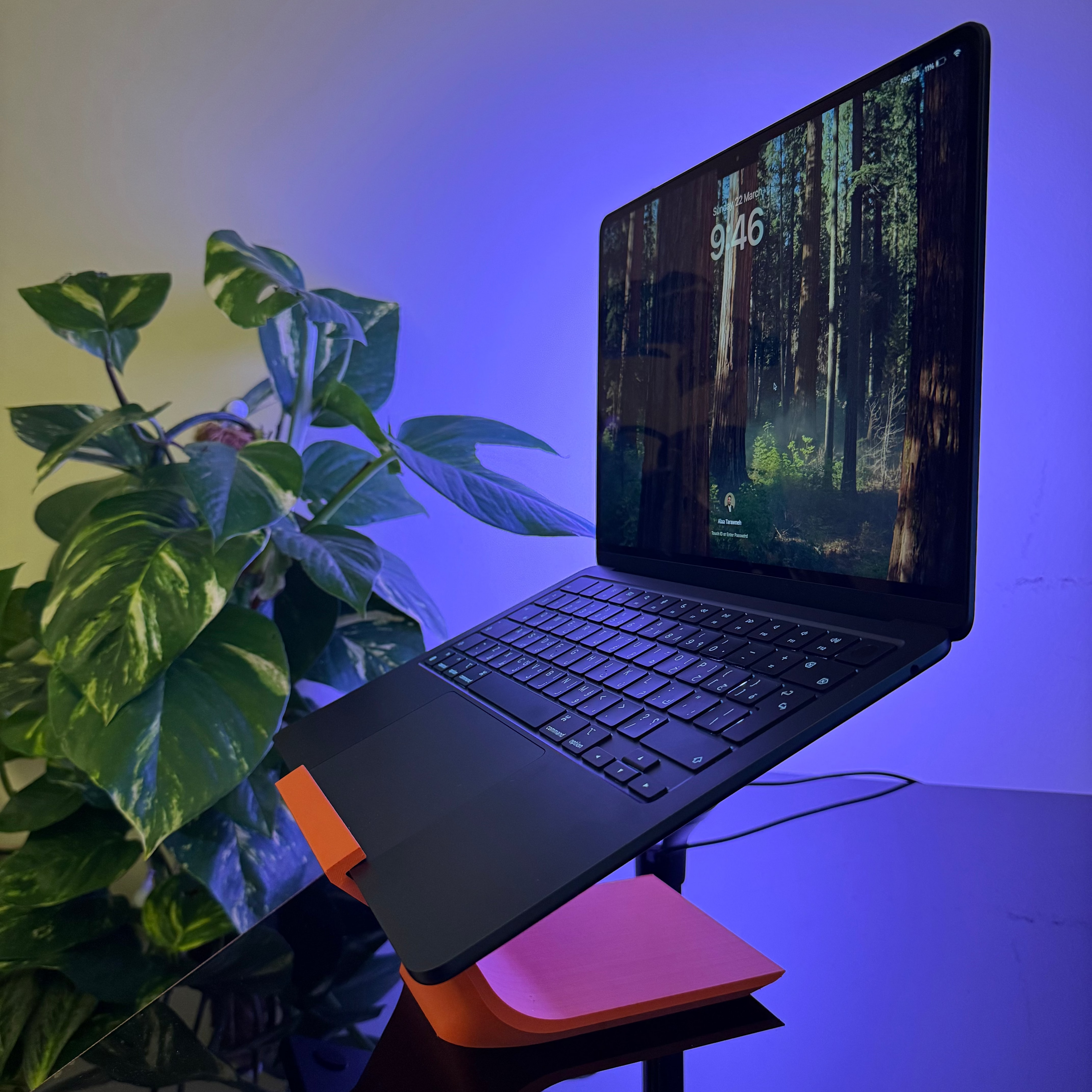 Laptop on a stand with a plant in the background under a blue light