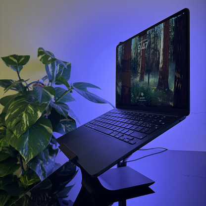 Laptop on a stand with a plant next to it under a blue light