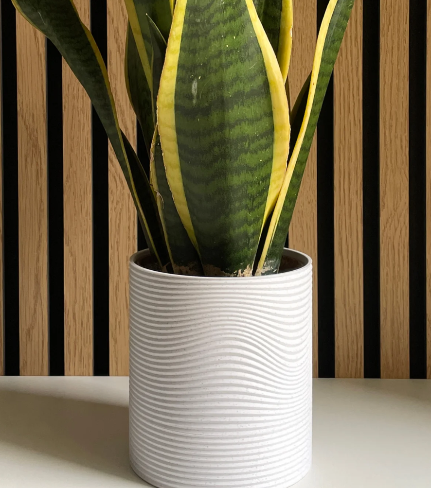 Cactus Coasters – Vase with Removable Coasters