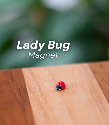 Office Bugs – Bee Tack, Leaf Bug Bookmark, Stick Bug Pen, Lady Bug Magnet