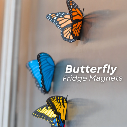 Butterfly Fridge Magnets