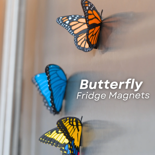 Butterfly Fridge Magnets
