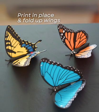 Butterfly Fridge Magnets