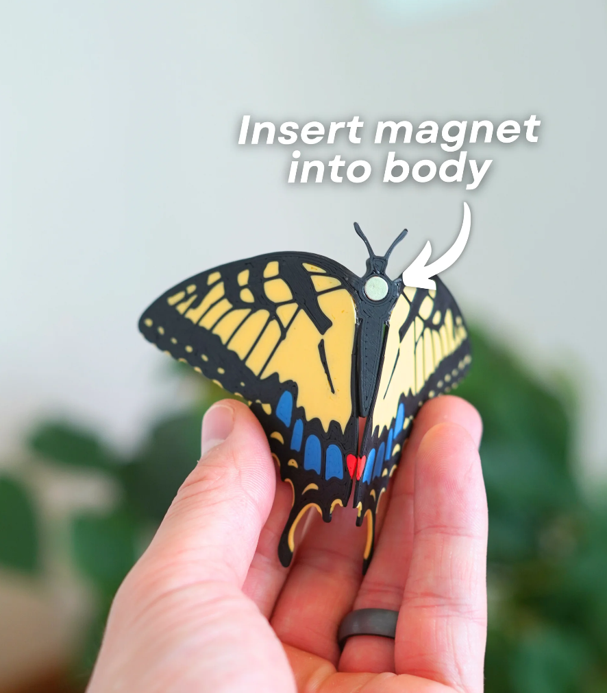 Butterfly Fridge Magnets