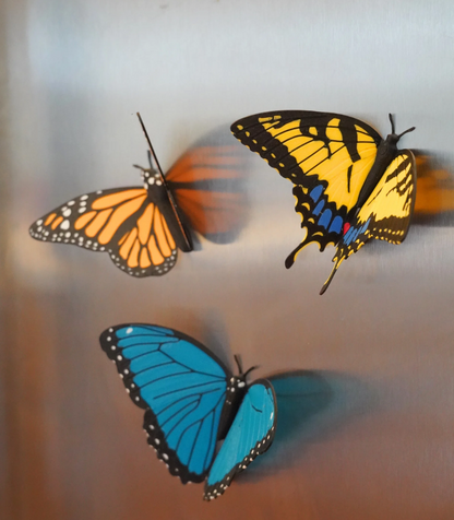 Butterfly Fridge Magnets