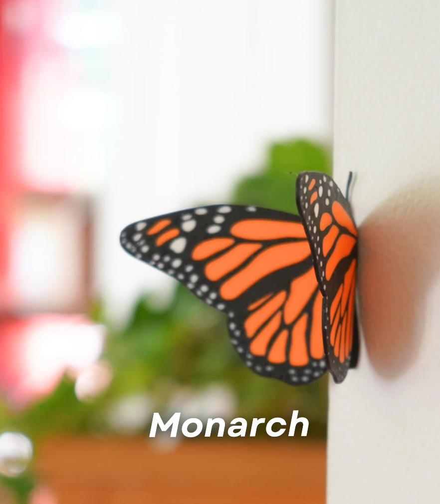 Butterfly Fridge Magnets