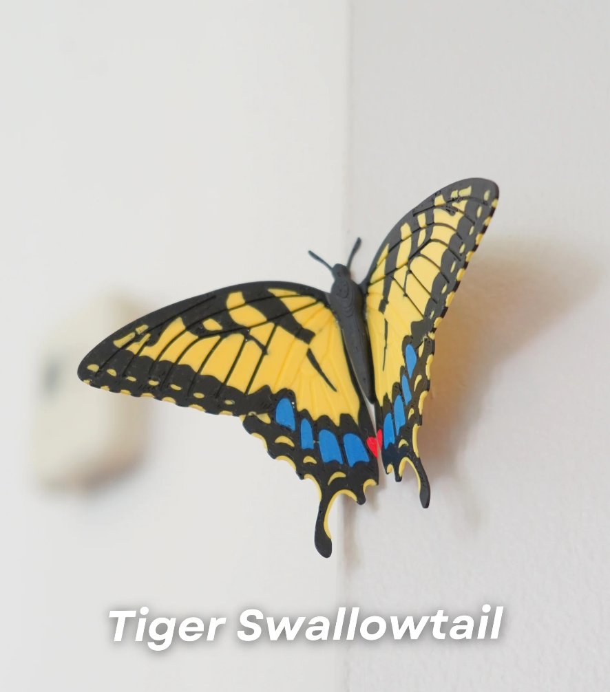 Butterfly Fridge Magnets