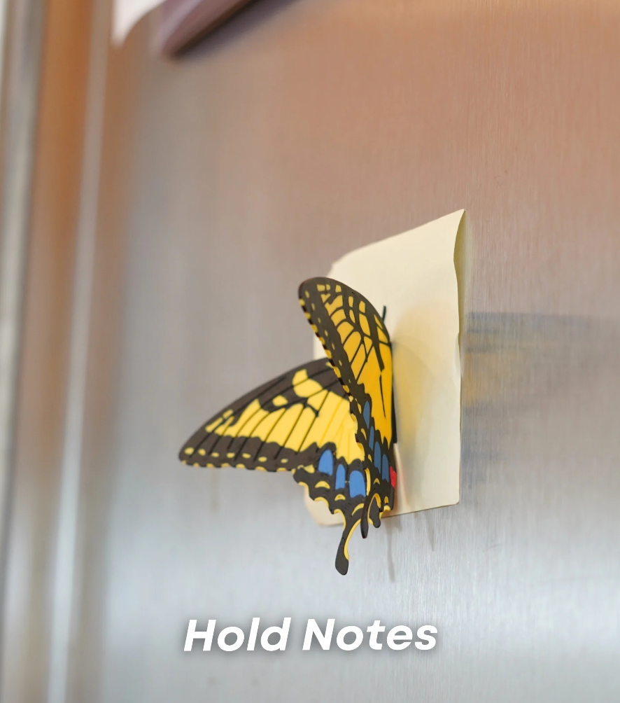 Butterfly Fridge Magnets