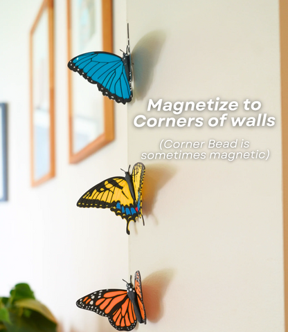 Butterfly Fridge Magnets