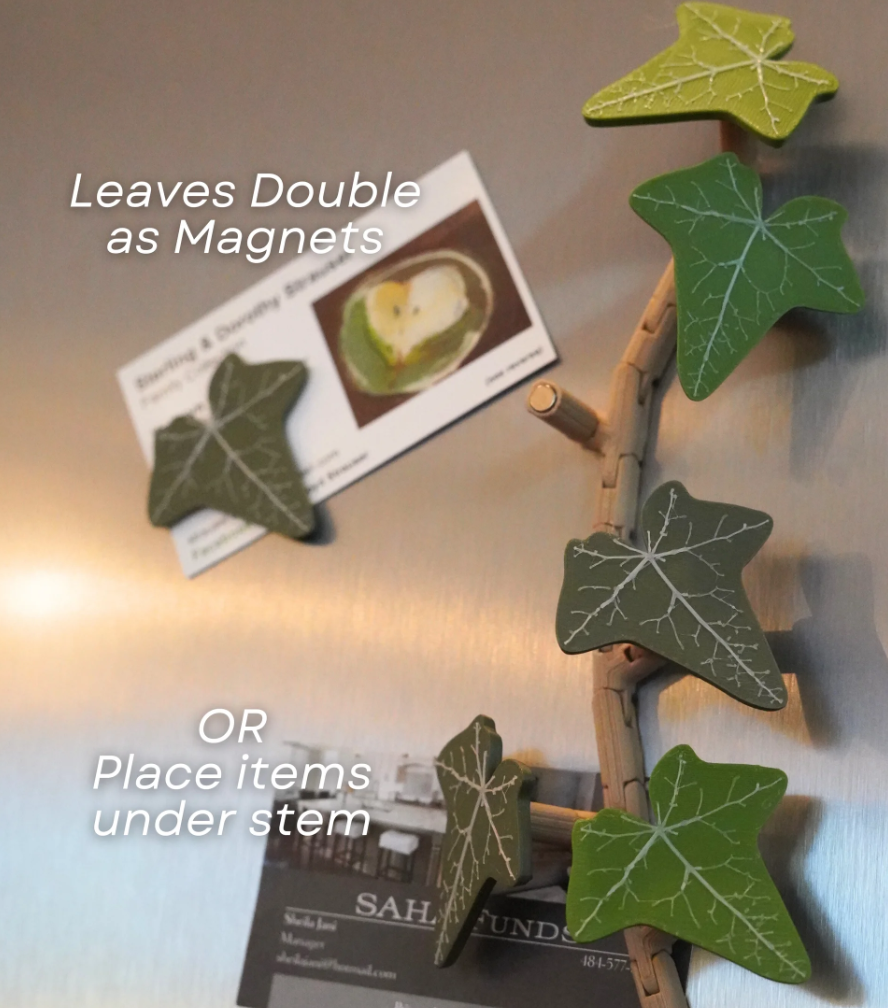 Magnetivy - English Ivy Fridge Magnet with Articulating Stems