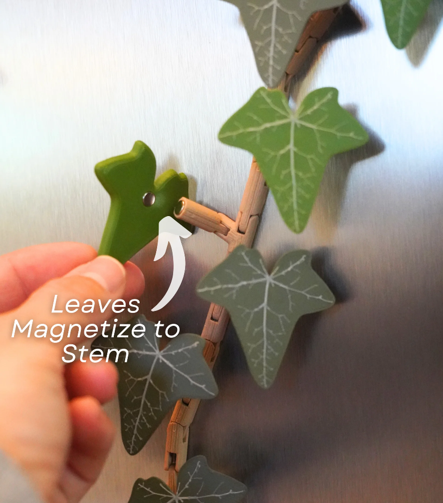 Magnetivy - English Ivy Fridge Magnet with Articulating Stems