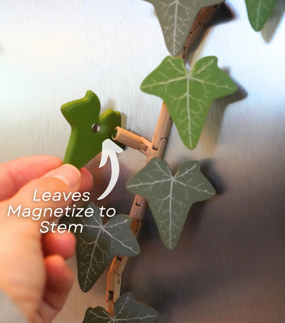 Magnetivy - English Ivy Fridge Magnet with Articulating Stems