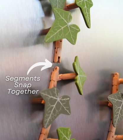 Magnetivy - English Ivy Fridge Magnet with Articulating Stems
