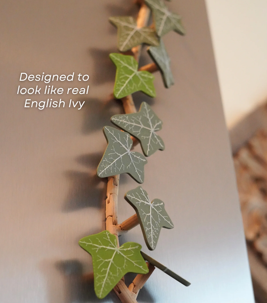 Magnetivy - English Ivy Fridge Magnet with Articulating Stems