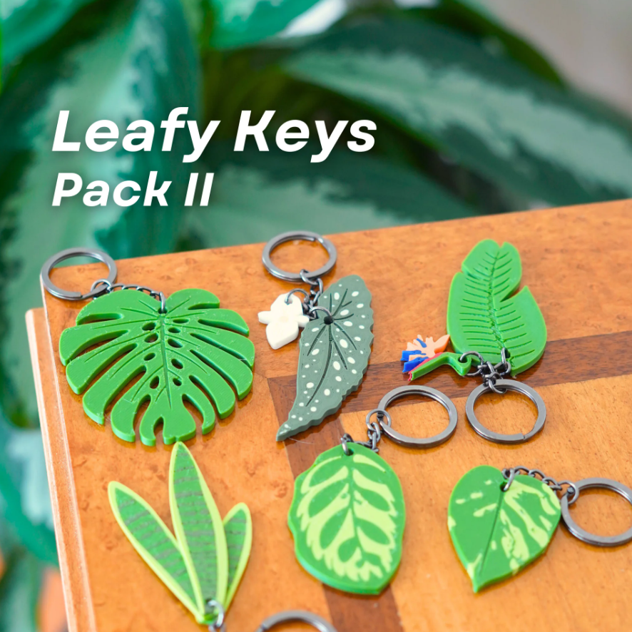 Leafy Keys Pack II - Houseplant Keychains - For Car Key Ring and House Keys