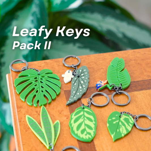 Leafy Keys Pack II - Houseplant Keychains - For Car Key Ring and House Keys