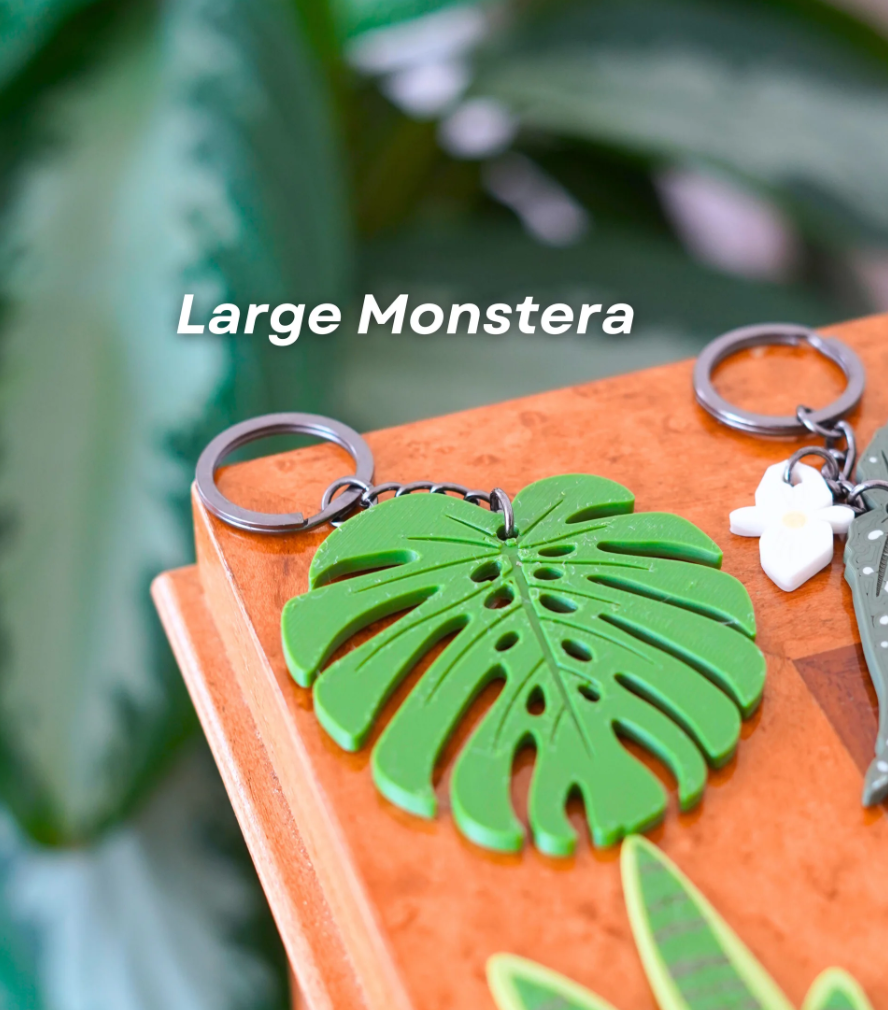 Leafy Keys Pack II - Houseplant Keychains - For Car Key Ring and House Keys