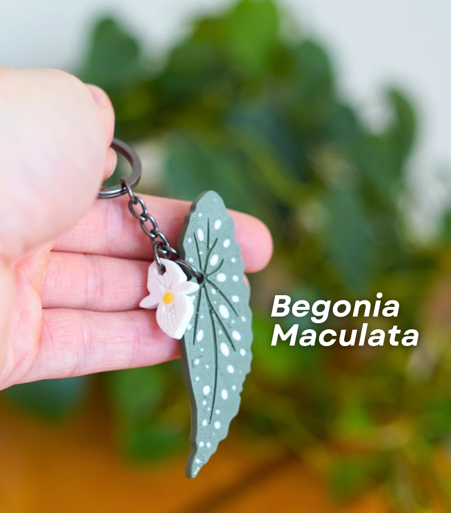 Leafy Keys Pack II - Houseplant Keychains - For Car Key Ring and House Keys