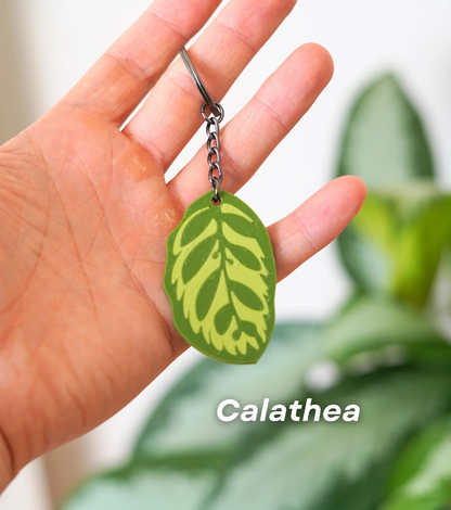 Leafy Keys Pack II - Houseplant Keychains - For Car Key Ring and House Keys