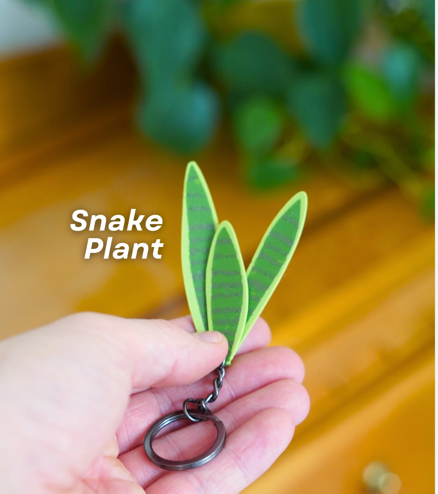 Leafy Keys Pack II - Houseplant Keychains - For Car Key Ring and House Keys