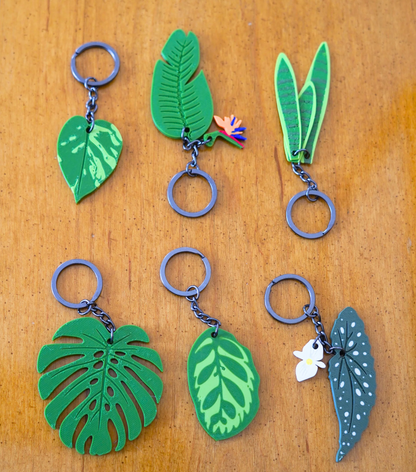 Leafy Keys Pack II - Houseplant Keychains - For Car Key Ring and House Keys