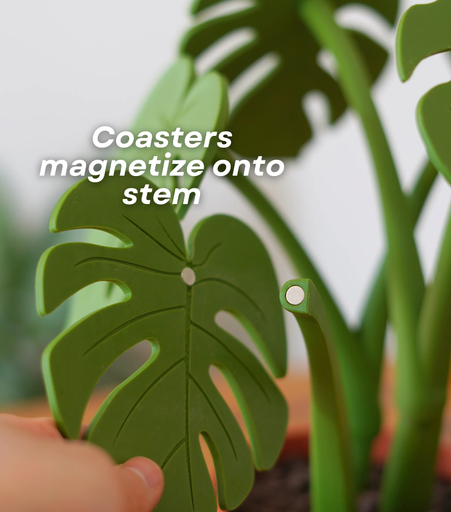 Monstera Coaster Set - Coaster Set End Table