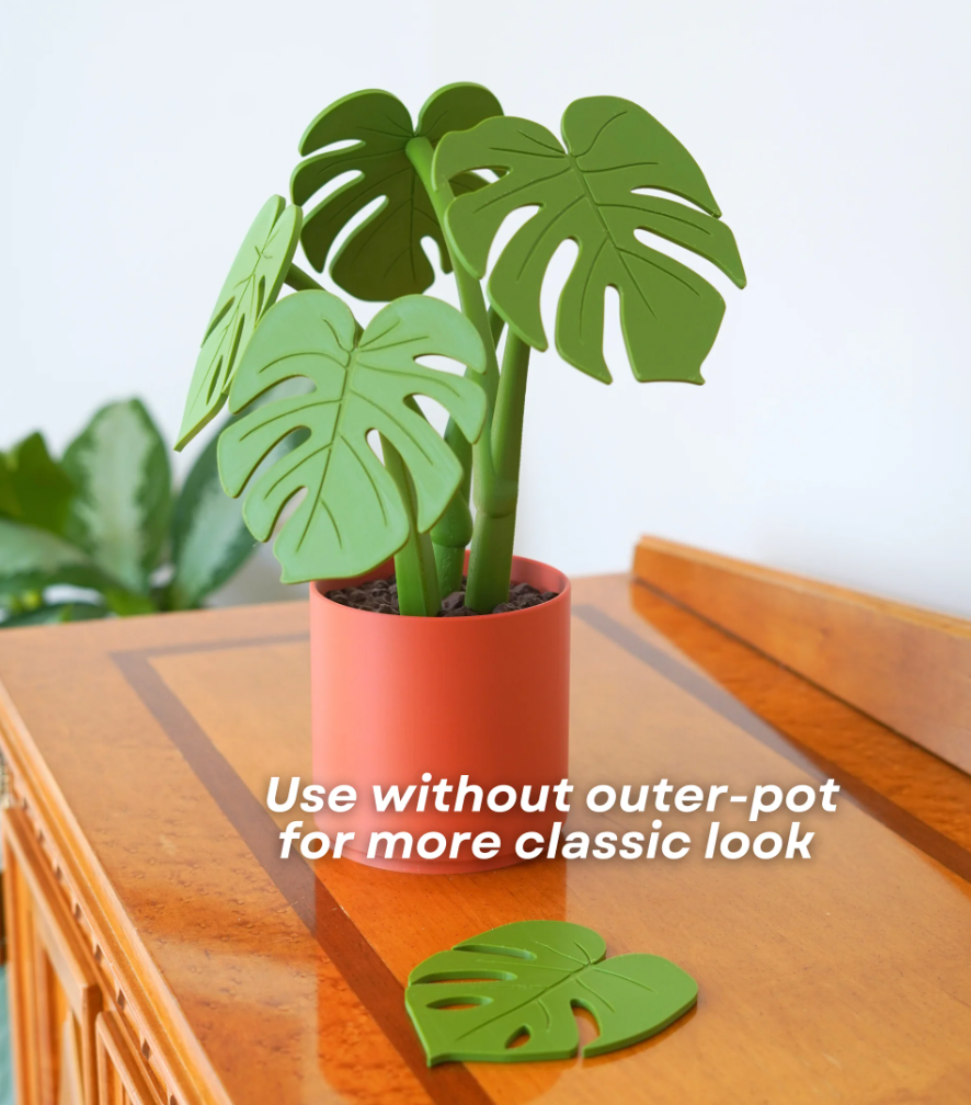 Monstera Coaster Set - Coaster Set End Table