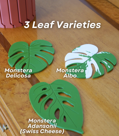 Monstera Coaster Set - Coaster Set End Table