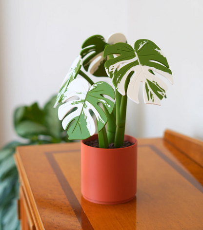 Monstera Coaster Set - Coaster Set End Table