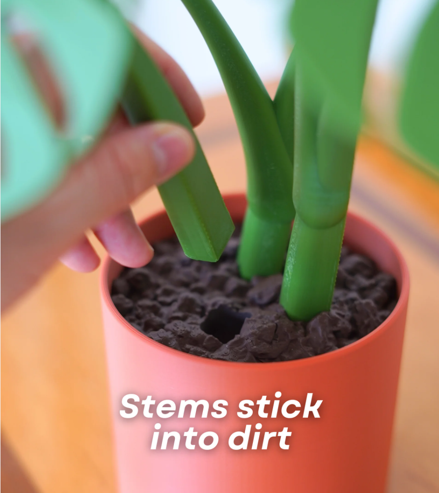 Monstera Coaster Set - Coaster Set End Table