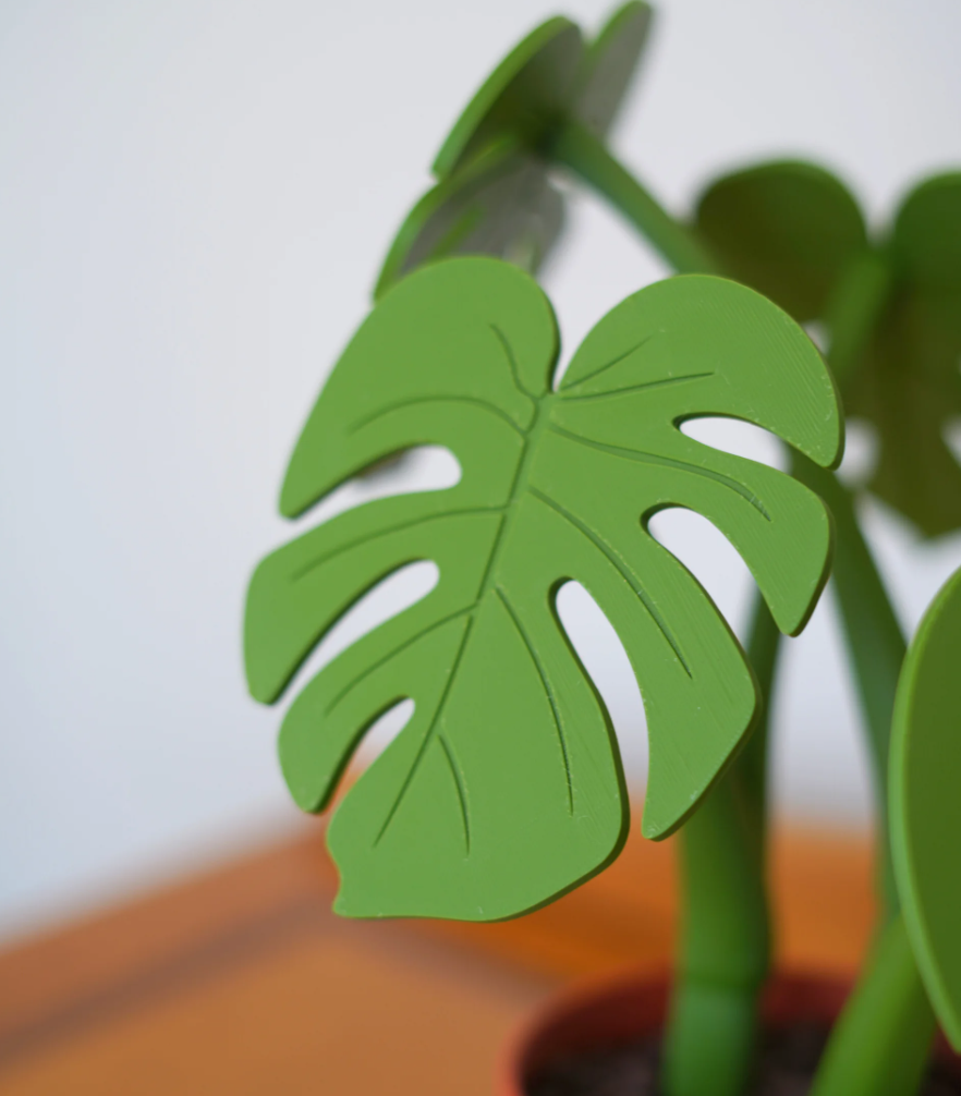 Monstera Coaster Set - Coaster Set End Table