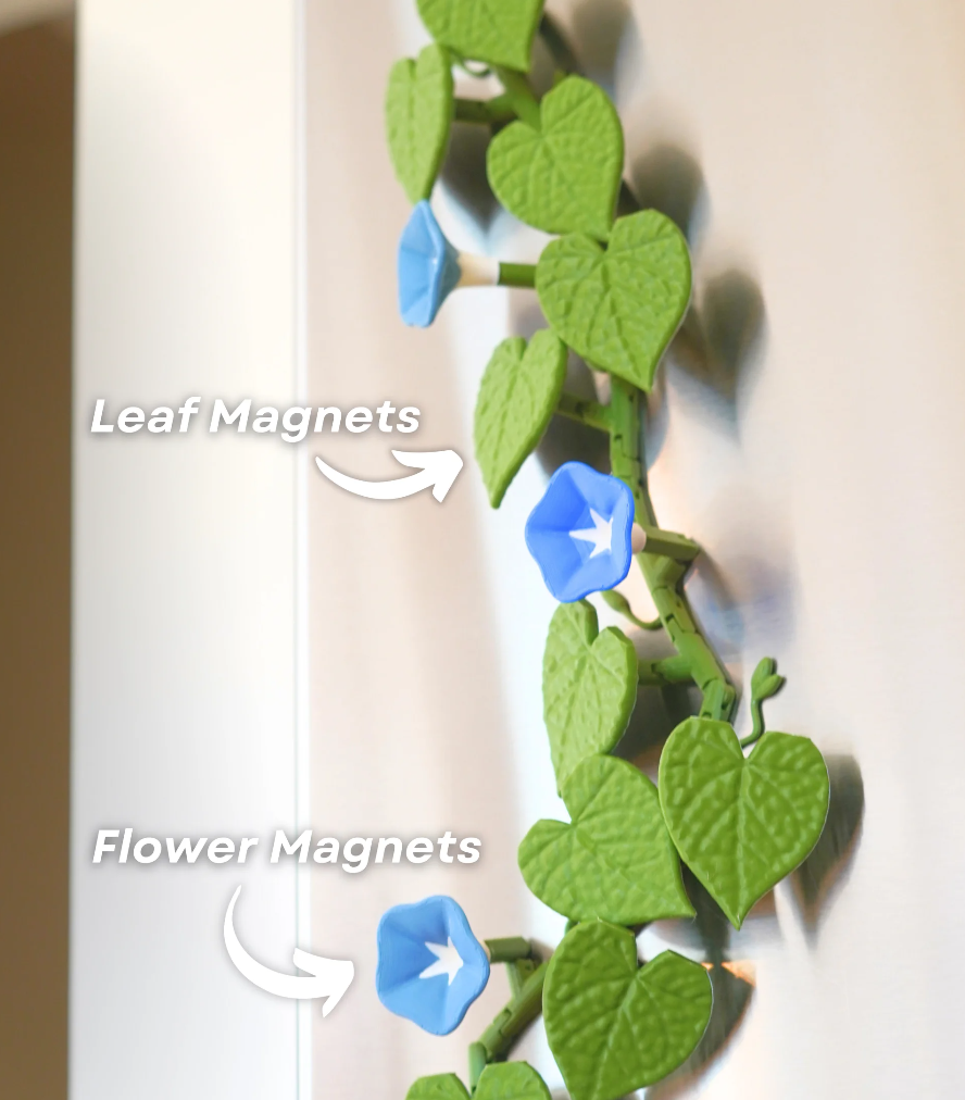 Morning Glory Magnets - Ivy Fridge Magnet - Flower Magnets