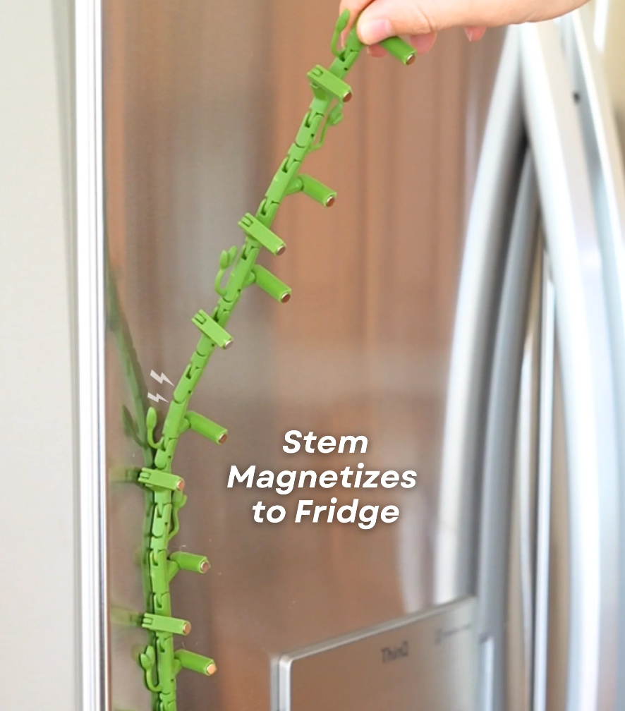 Morning Glory Magnets - Ivy Fridge Magnet - Flower Magnets