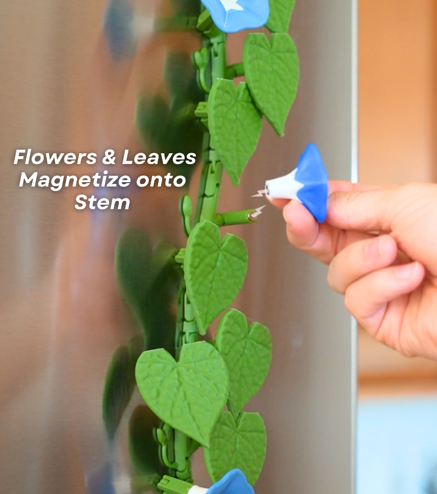 Morning Glory Magnets - Ivy Fridge Magnet - Flower Magnets