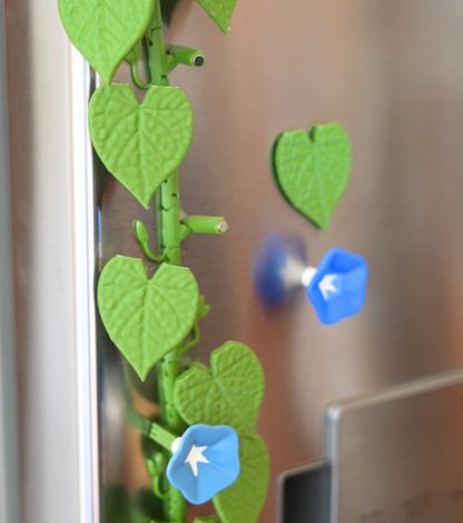 Morning Glory Magnets - Ivy Fridge Magnet - Flower Magnets