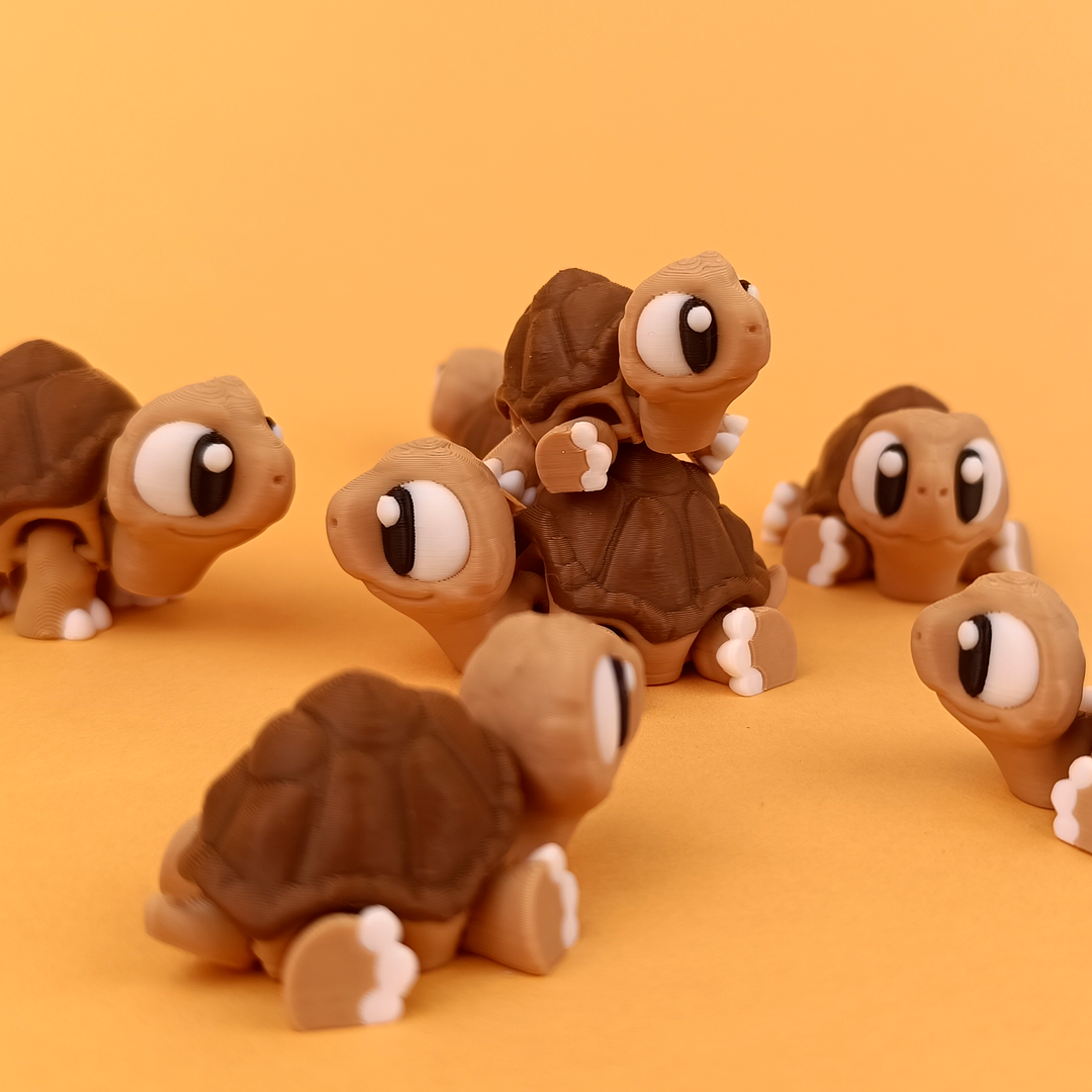Flexi Tortoise