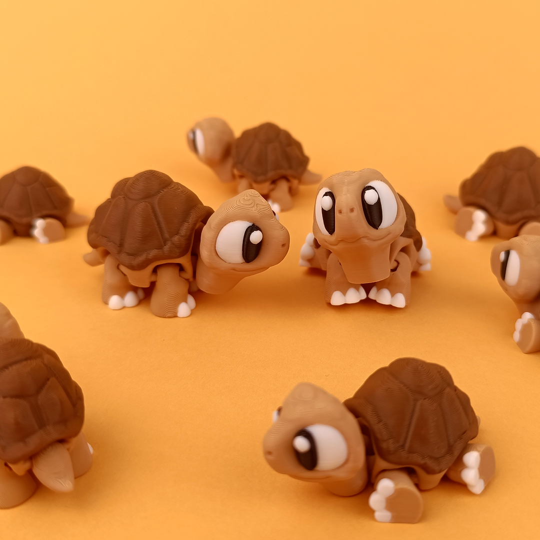 Flexi Tortoise