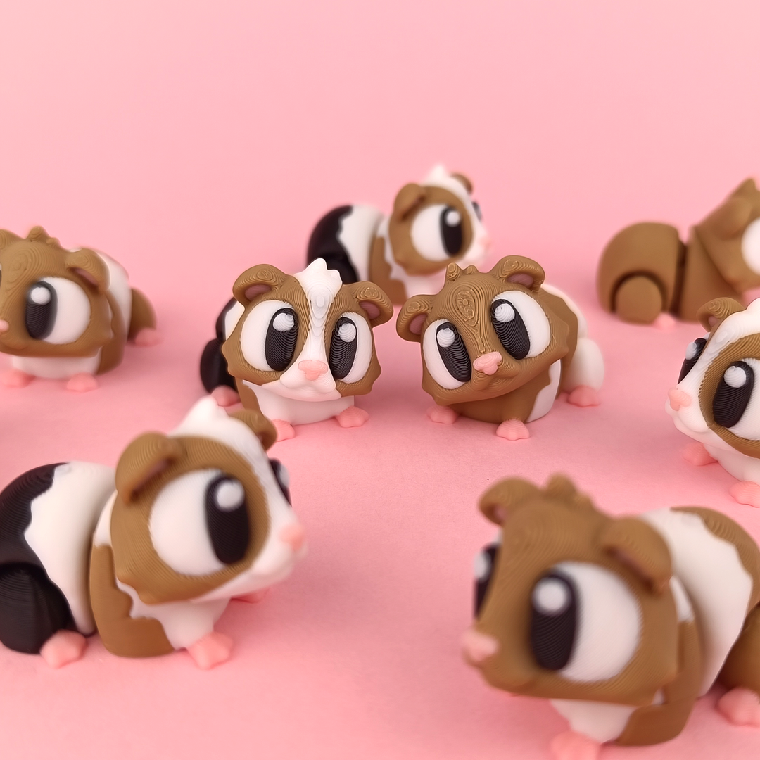 Flexi Guinea Pigs + Mini cage