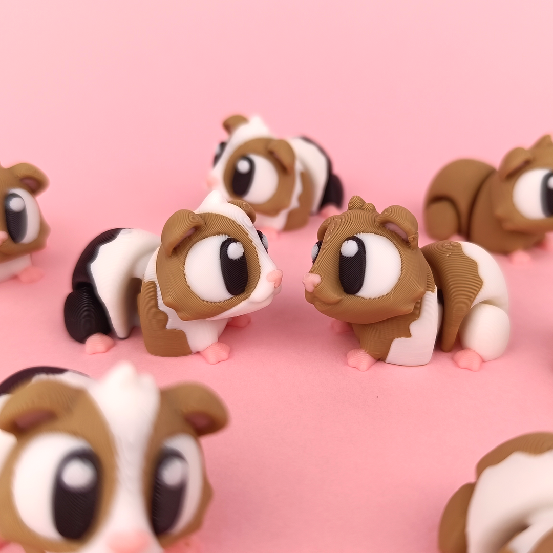 Flexi Guinea Pigs + Mini cage