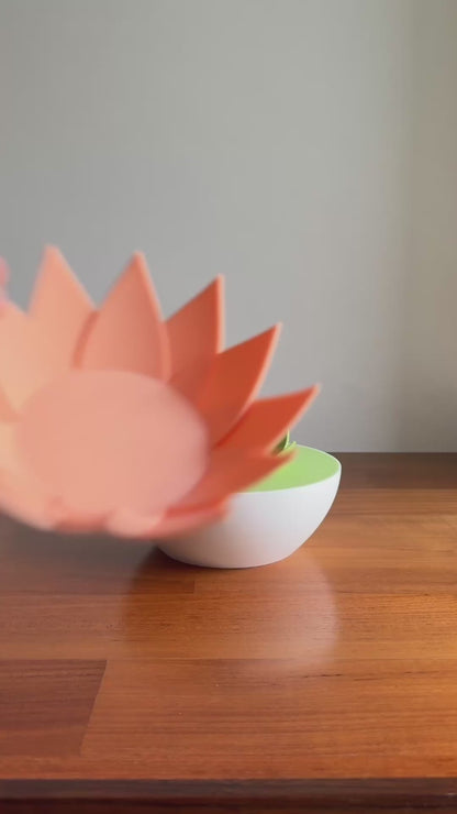 Lilith - Pistachio & Snacks Bowl