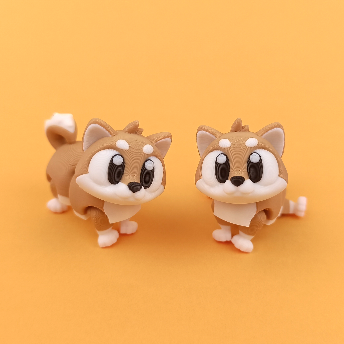 Shiba Inu – Small Dog, Big Attitude 🐕🧡