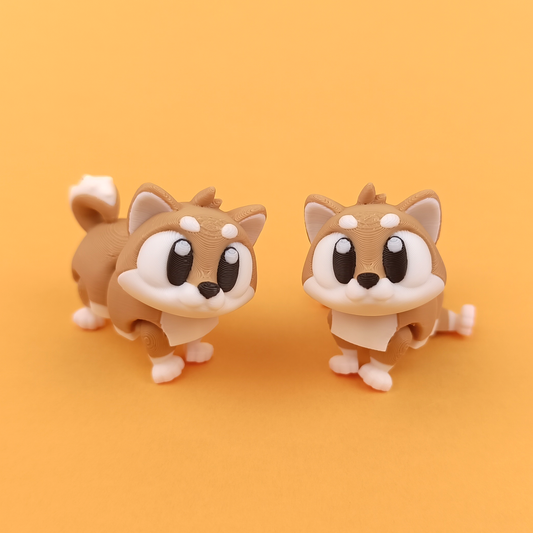 Shiba Inu – Small Dog, Big Attitude 🐕🧡