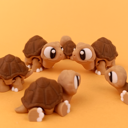 Flexi Tortoise